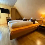 Hotel-restaurant Adler 2* نوينبورغ أم راين