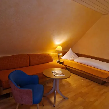 Hotel Hotel-restaurant Adler 3*