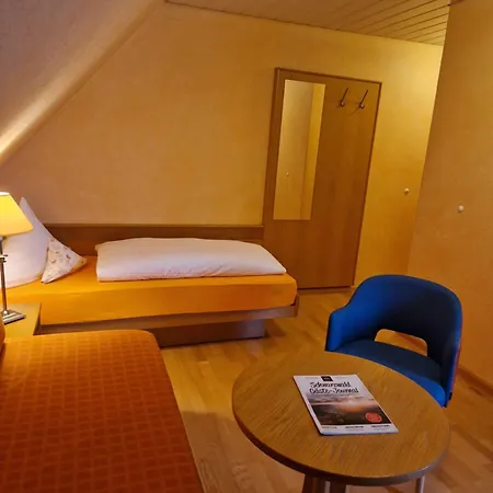 Отель Hotel-restaurant Adler Нойенбург-ам-Райн