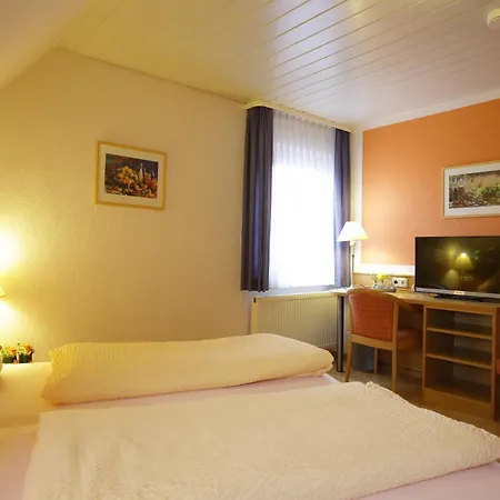 Hotel-restaurant Adler Отель Нойенбург-ам-Райн