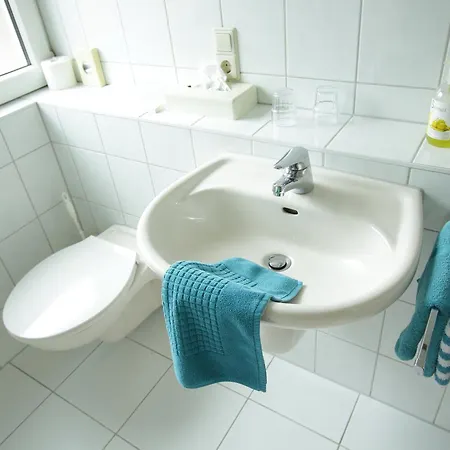 Hotel-restaurant Adler Neuenburg am Rhein