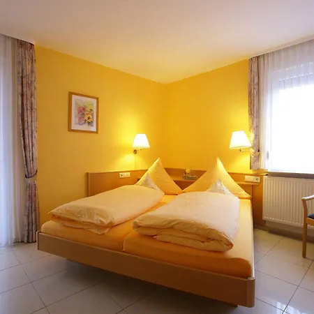 Hotel-restaurant Adler 2* Нойенбург-ам-Райн