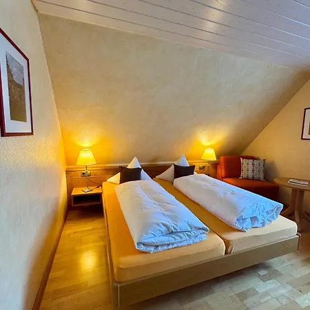 Отель Hotel-restaurant Adler Нойенбург-ам-Райн