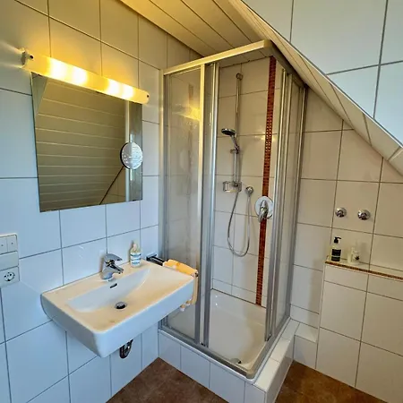 Hotel-restaurant Adler 2* Нойенбург-ам-Райн