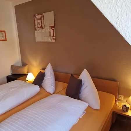 Hotel-restaurant Adler Отель 2*