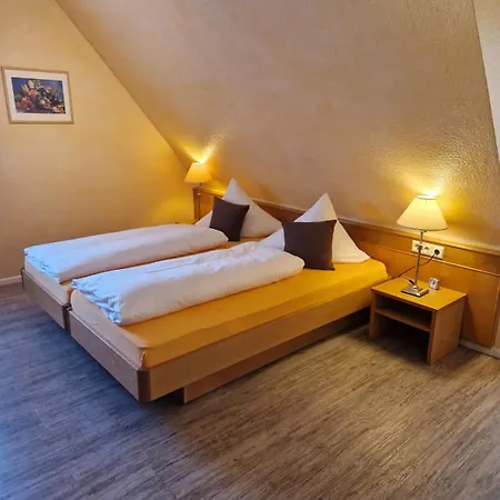 Hotel-restaurant Adler Нойенбург-ам-Райн