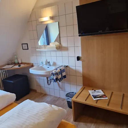 Hotel-restaurant Adler 2* Нойенбург-ам-Райн