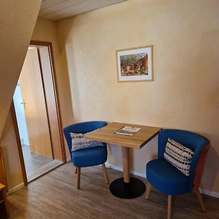 Отель Hotel-restaurant Adler 2*