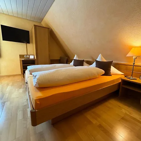 Hotel-restaurant Adler 2* Нойенбург-ам-Райн