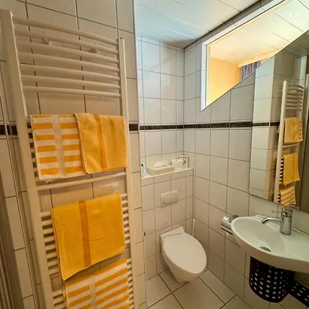 Hotel-restaurant Adler Отель 2*