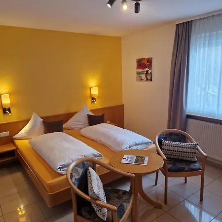 Hotel-restaurant Adler Hotel 3*