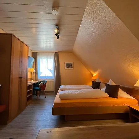 Hotel-restaurant Adler Hotel Neuenburg am Rhein