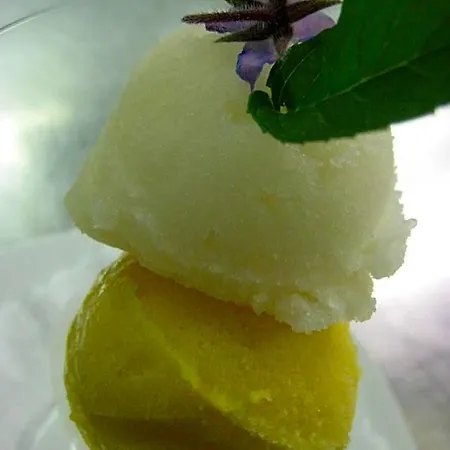 Hotel-restaurant Adler