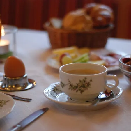 Hotel-restaurant Adler מלון 2*