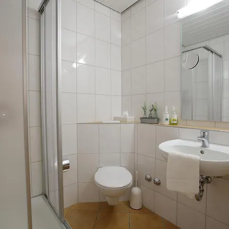 Hotel-restaurant Adler 2*