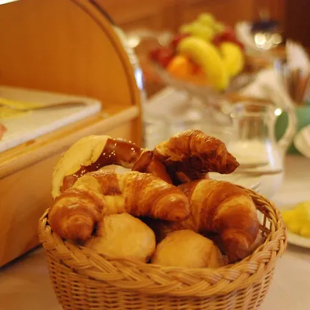 Hotel-restaurant Adler מלון 2*
