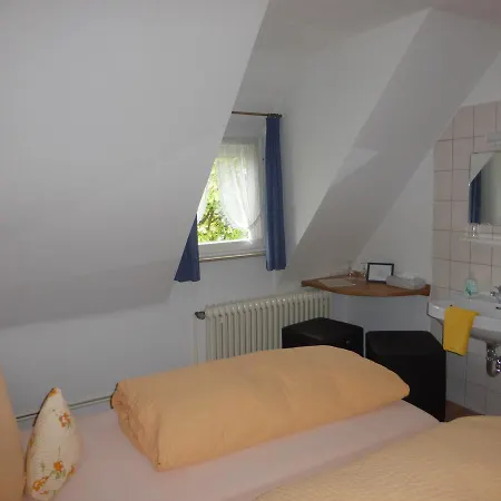 Hotel Hotel-restaurant Adler Neuenburg am Rhein