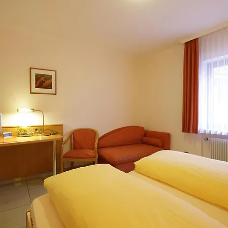Hotel-restaurant Adler מלון 2*