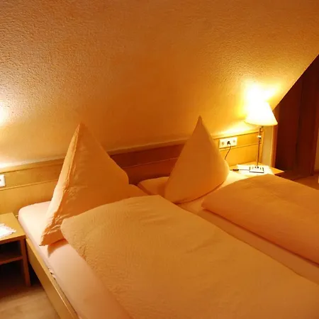 Hotel Hotel-restaurant Adler