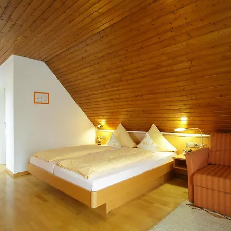 Hotel-restaurant Adler 2* נוינבורג אם ריין